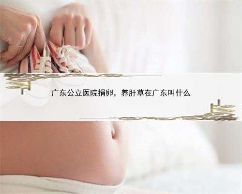 广东公立医院捐卵，养肝草在广东叫什么