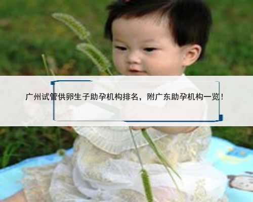 广州试管供卵生子助孕机构排名，附广东助孕机